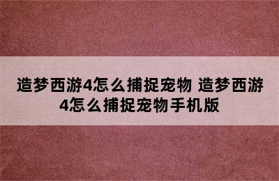 造梦西游4怎么捕捉宠物 造梦西游4怎么捕捉宠物手机版